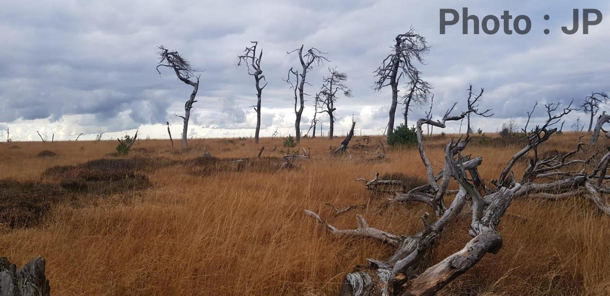 La Taniere Du Lac Робертвілле Екстер'єр фото